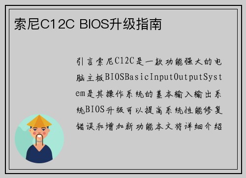 索尼C12C BIOS升级指南